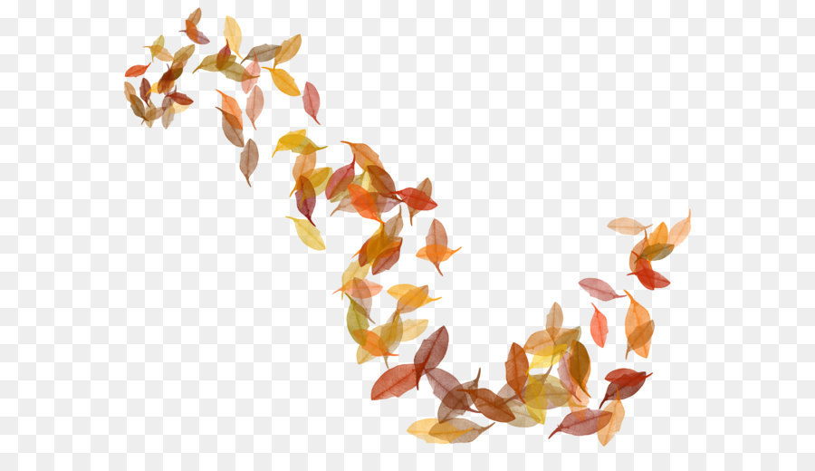 foglia d'autunno di colore - Trasparente Caduta Foglie Immagine PNG