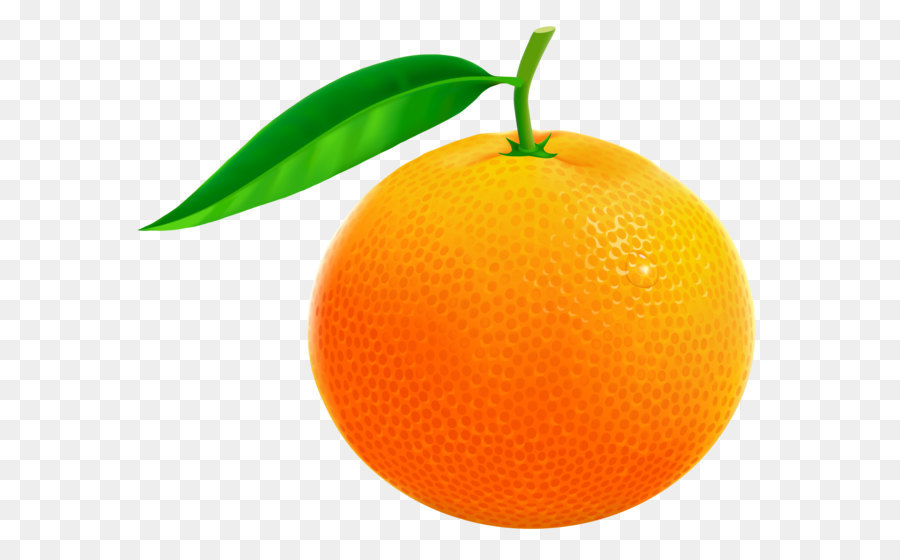 Orange Grapefruit Pomelo Clip art - Orange PNG Vector Clipart Bild
