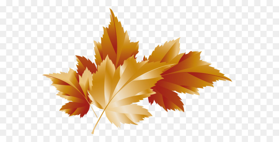 Herbst Clip art - Fallen Transparente Blätter Dekor Bild