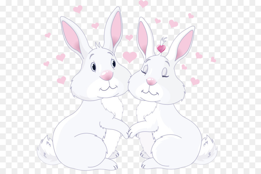 Heimische Kaninchen Osterhase Hase Schnurrhaare - Nette Bunnies in Love PNG Clipart Bild
