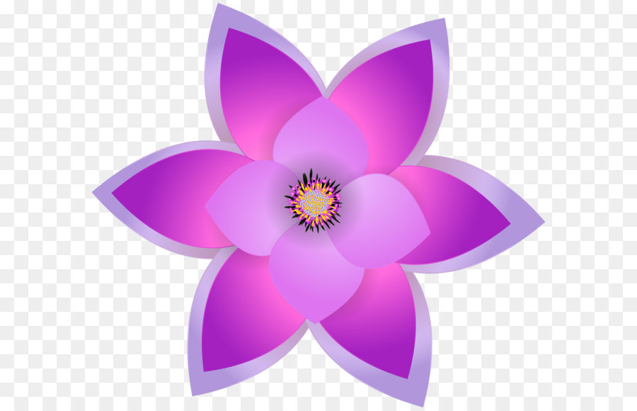 Image Datei Formate Verlustfreie Komprimierung - Dekorative Blumen Transparente PNG clipart Bild