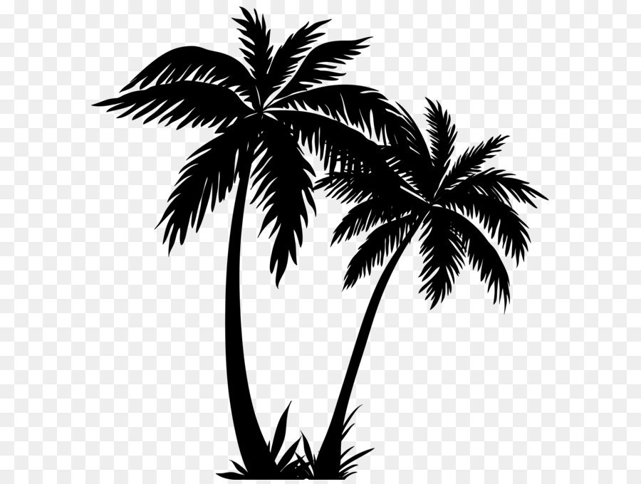 Arecaceae Silhouette, Sonnenuntergang - Palm Bäume Silhouette PNG clipart Bild