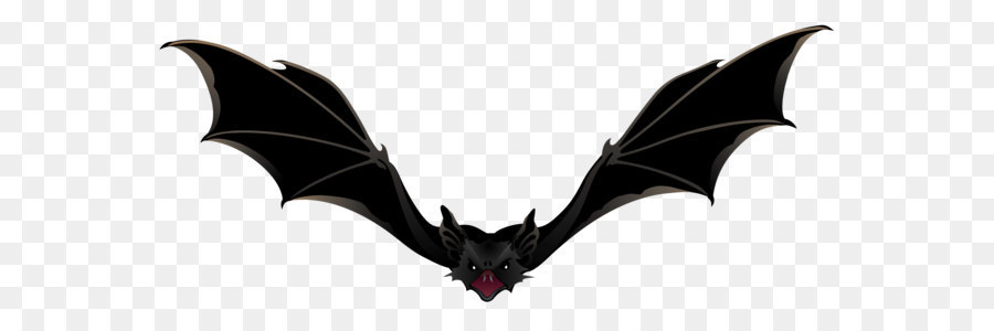 Halloween Cartoon Background png download - 3504*1529 - Free Transparent Bat  png Download. - CleanPNG / KissPNG