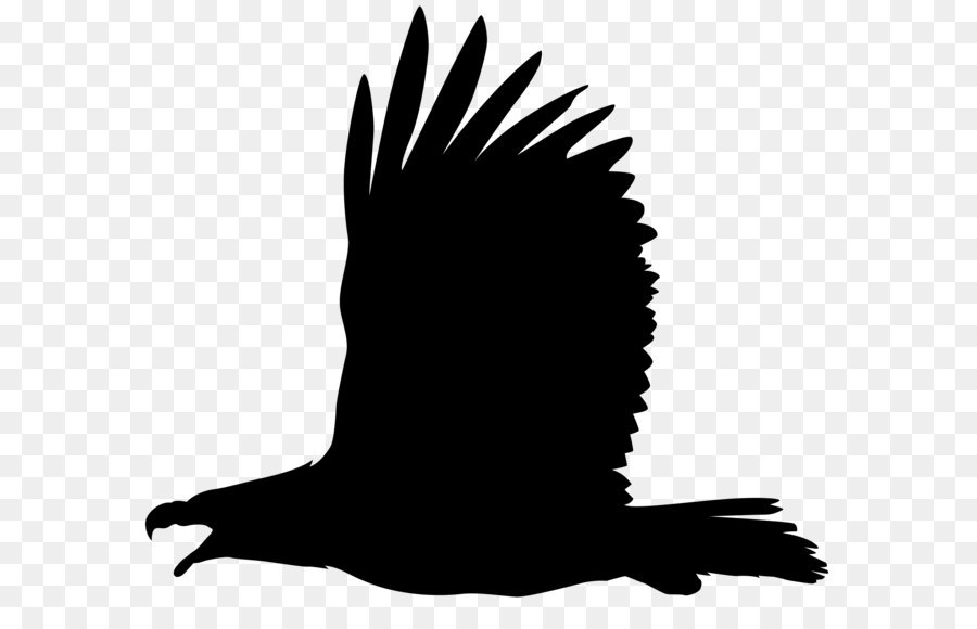 Đại Bàng đầu hói Bóng Clip nghệ thuật - Đại bàng Bóng PNG hình Ảnh