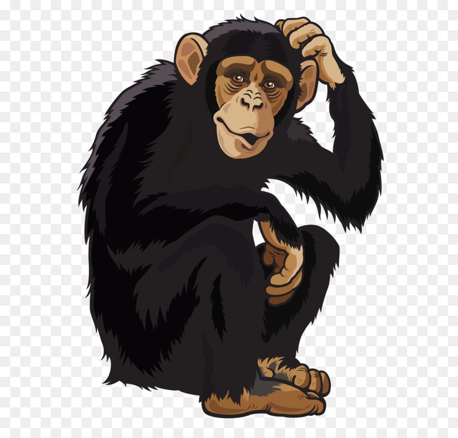 Monkey Cartoon png download - 2044*2665 - Free Transparent Chimpanzee png  Download. - CleanPNG / KissPNG
