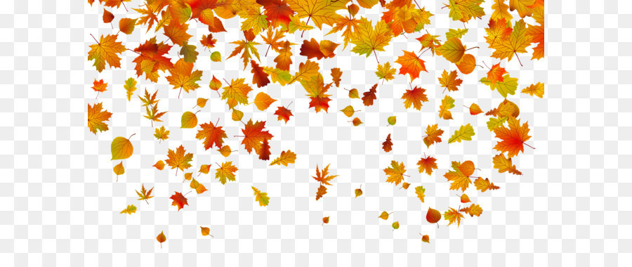 Herbst Blatt Farbe Clip art - Transparente Blätter Fallen PNG Clipart Bild