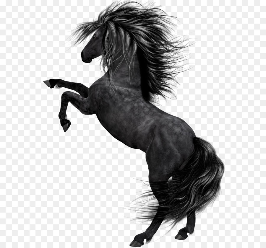 Horse Clip Art - Black Horse Kunst