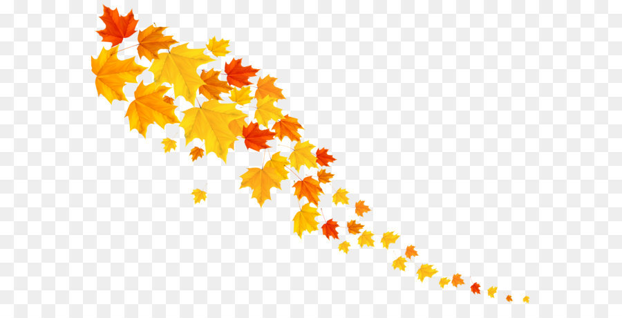 Blatt Gelb Schrift Muster - Herbst Blätter PNG Dekorative Clipart Bild