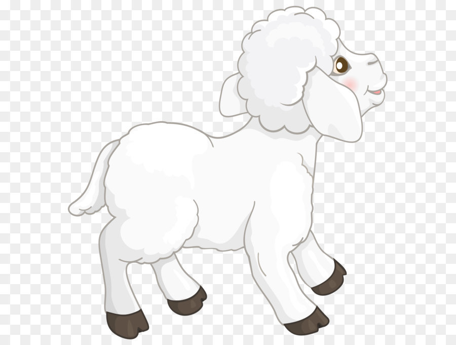 Schaf Ziege clipart - Transparente Weiße Lamm PNG Clipart Bild
