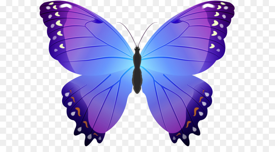 Farfalla Clip art - Farfalla Viola PNG Trasparente Clip Art