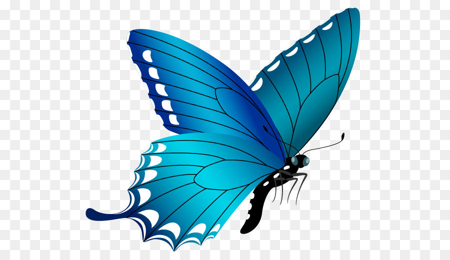 Farfalla Clip art - Farfalla blu immagine PNG