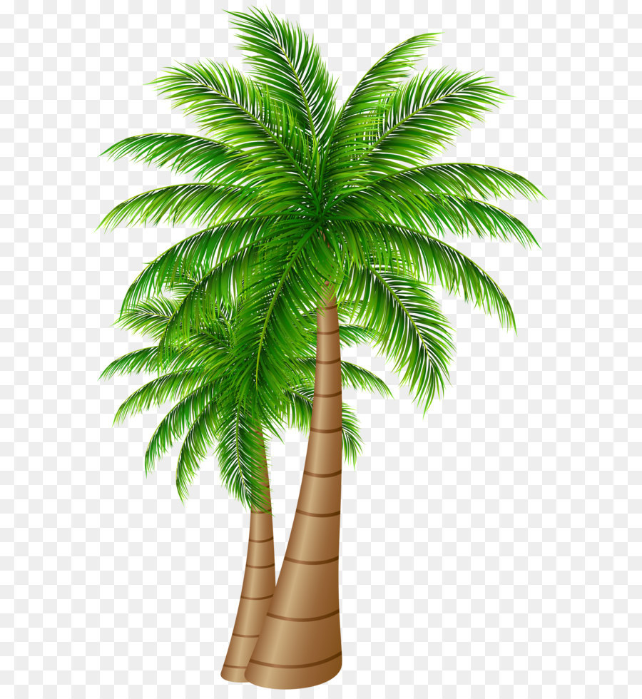 Palmen, Kokos-clipart - Palmen Große PNG-clipart-Bild