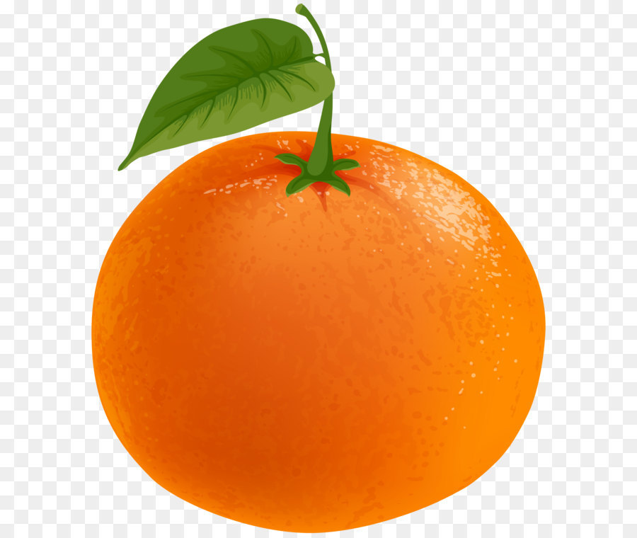 Fruit Cartoon png download - 6862*8000 - Free Transparent Mandarin Orange  png Download. - CleanPNG / KissPNG