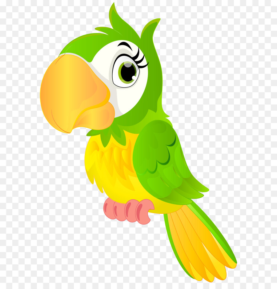 Uccello pappagallo Clip art - Parrot Cartoon PNG Clip Art Immagine