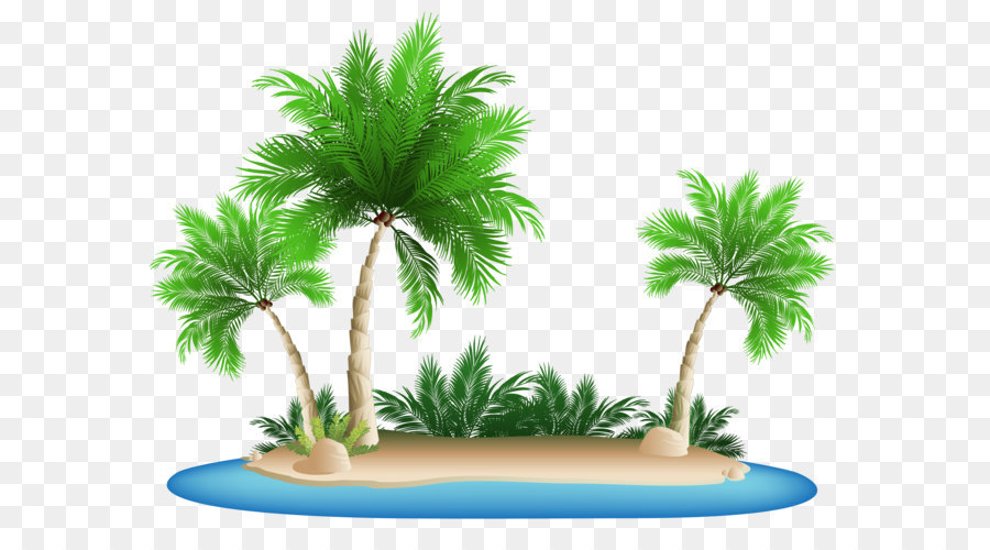 Summer Palm Tree