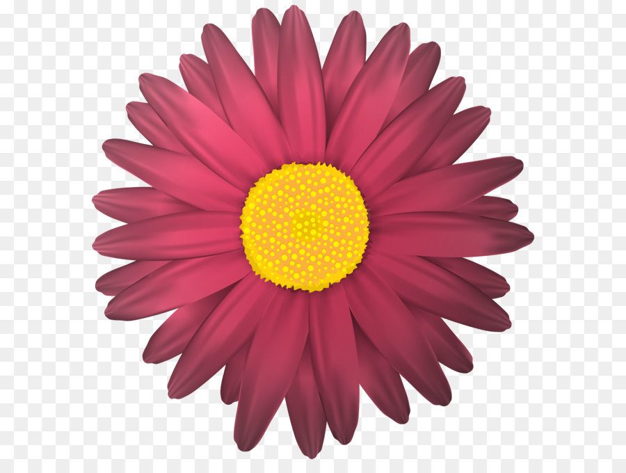 Flower Clip Art - Blume Transparent PNG clipart Bild