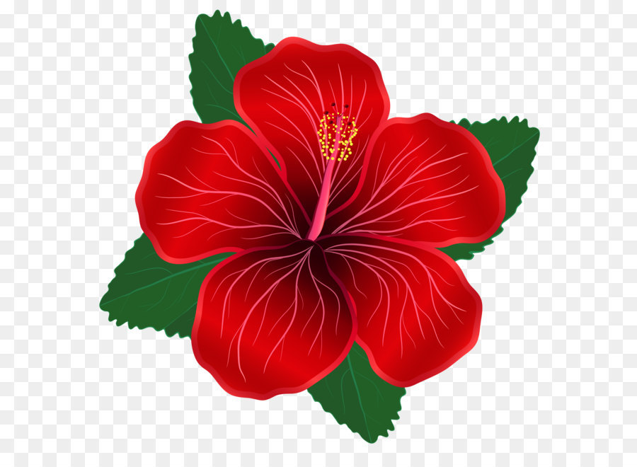 Hoa Đỏ Clip nghệ thuật - Hoa đỏ PNG Yêu Ảnh