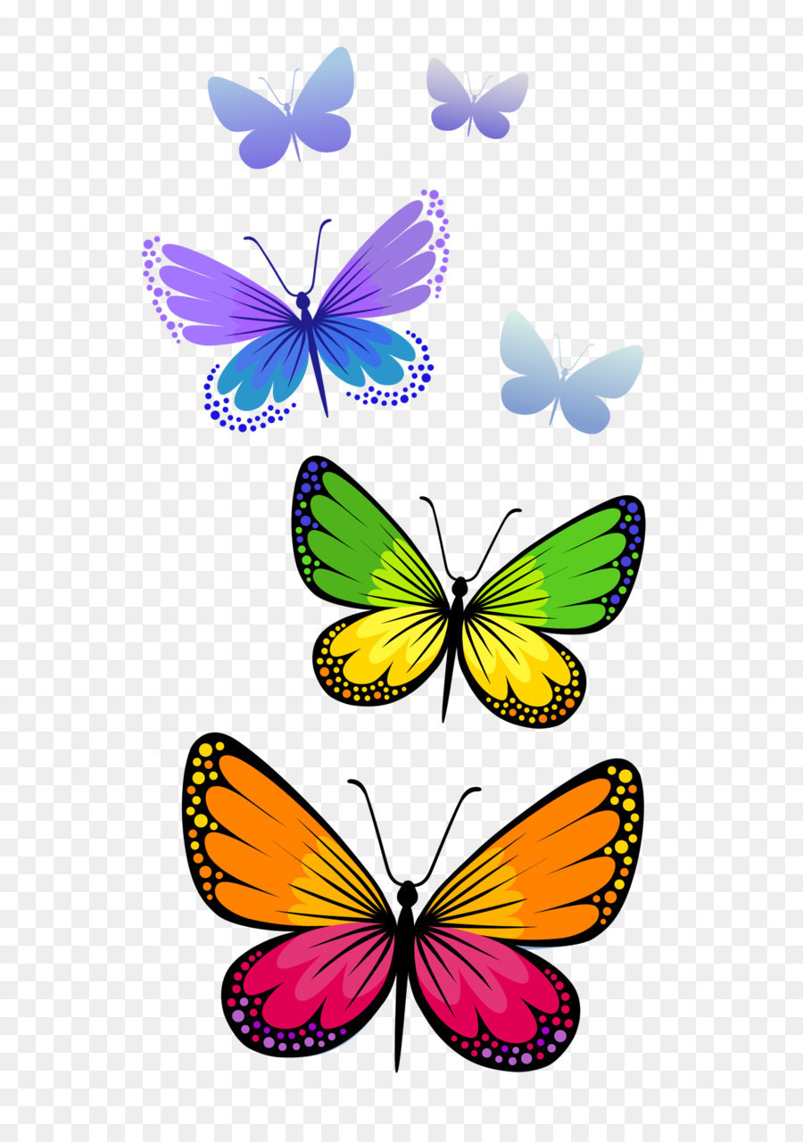 Schmetterling clip art - Schmetterlinge Zusammensetzung PNG Clipart Bild