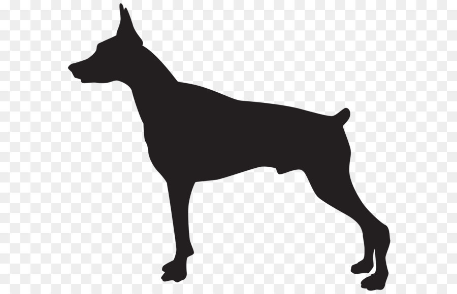Doberman dog logo. Pet Emblem:: tasmeemME.com