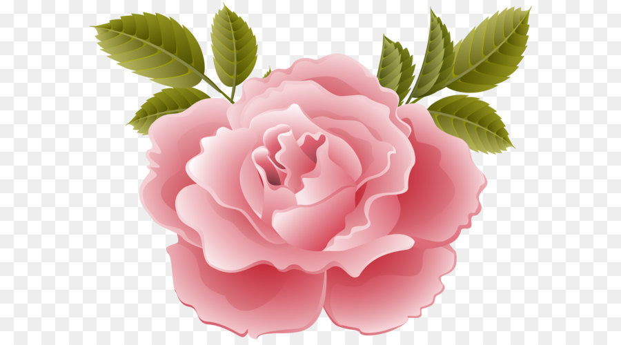 NTT DoCoMo Giardino di rose KDDI LTE rose Centifolia - Deco Rosa Trasparente, Clip Art Immagine