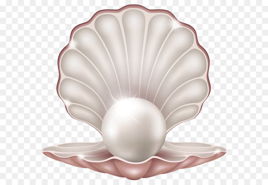 Pearl-Royalty-free clipart - Schöne Muschel mit Perle PNG-Clipart-Bild