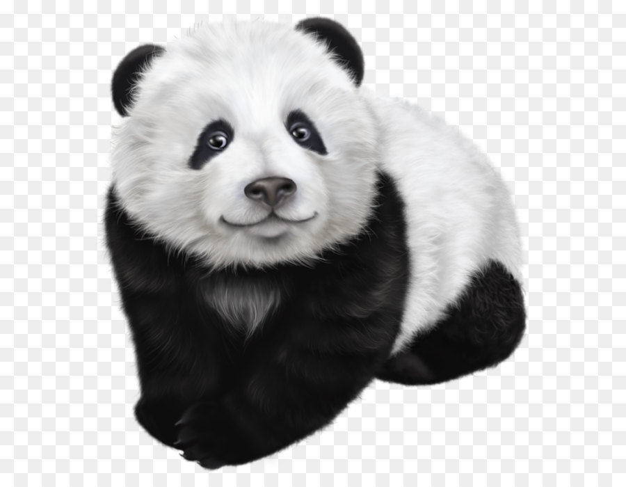 Giant panda-Zeichnung-Illustration - Panda-Transparent-Clipart-Bild