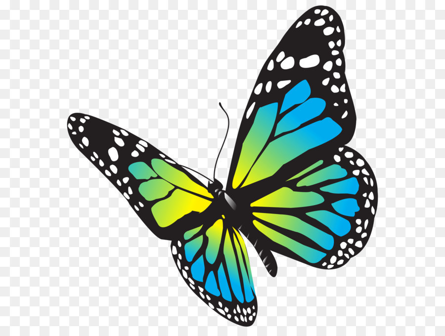 Big spot butterfly icon outline style Royalty Free Vector