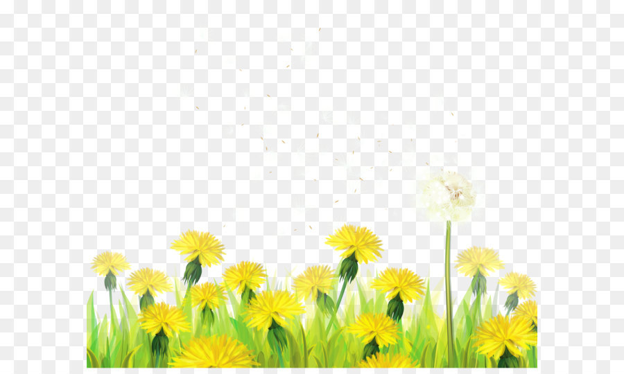 Löwenzahn Clip art - Transparent Gras mit Pusteblumen Clipart