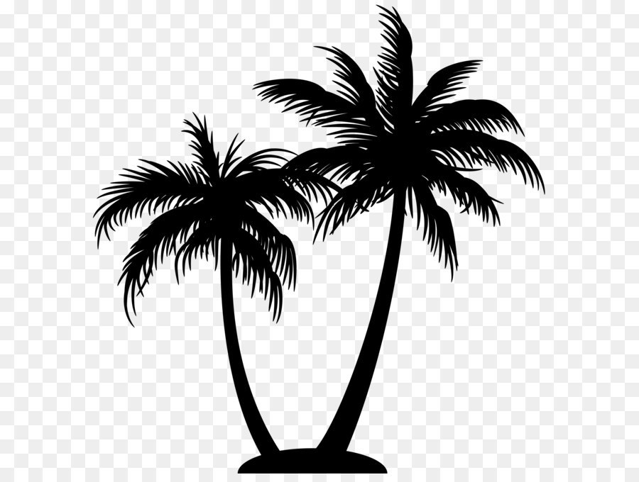 Palm Tree Silhouette png download 7781*8000 Free