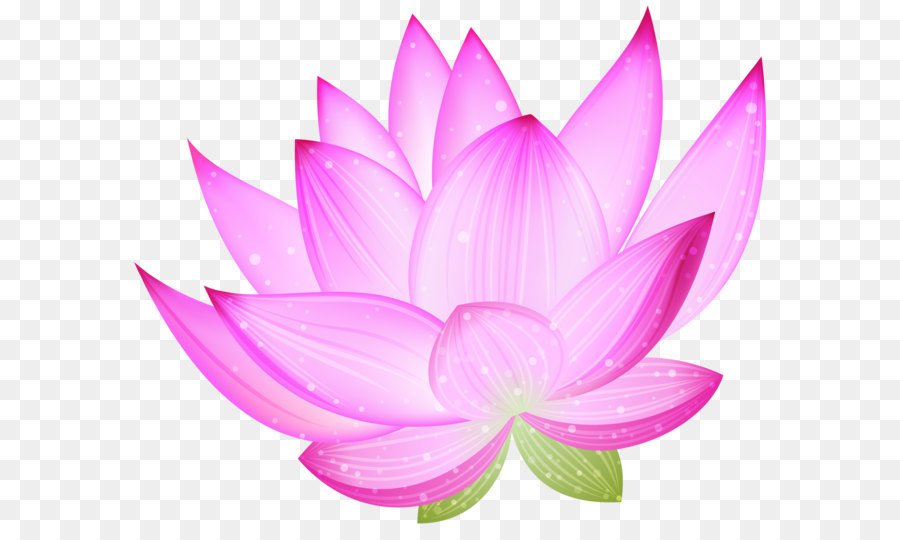 Thực nucifera Lotus Clip nghệ thuật - Lớn Hồng hoa Sen PNG Chúa