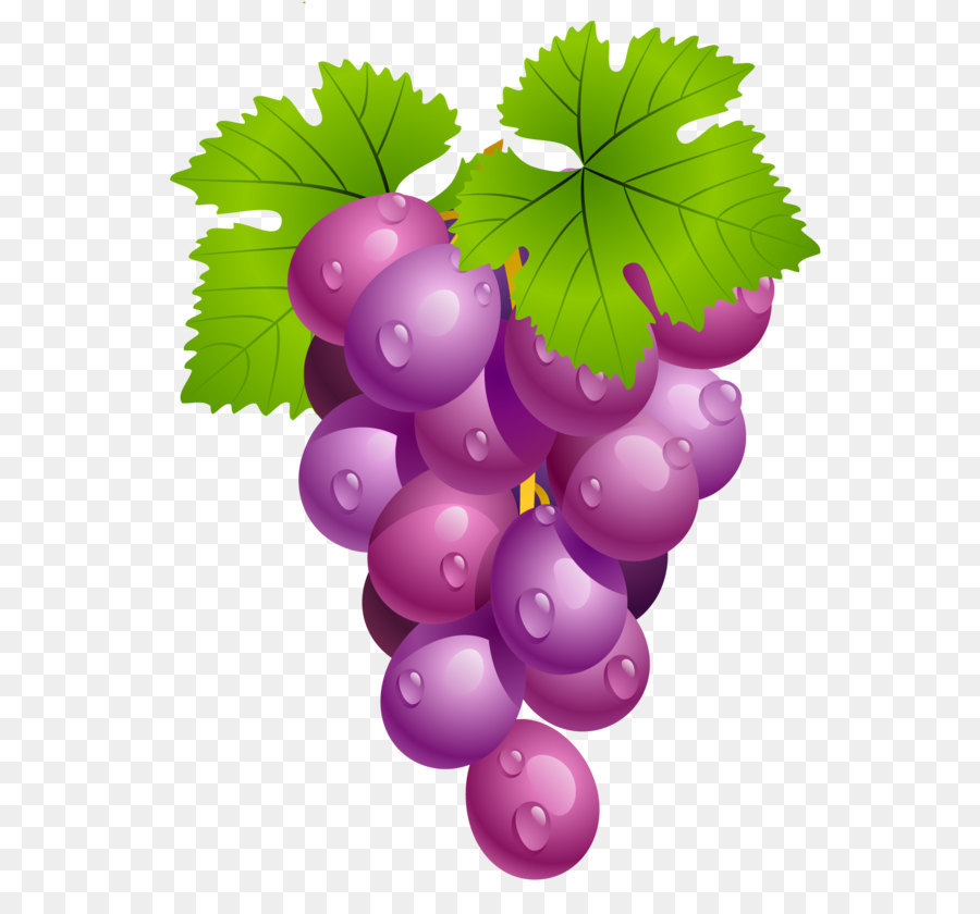Grape Cartoon png download - 1436*1843 - Free Transparent Wine png  Download. - CleanPNG / KissPNG