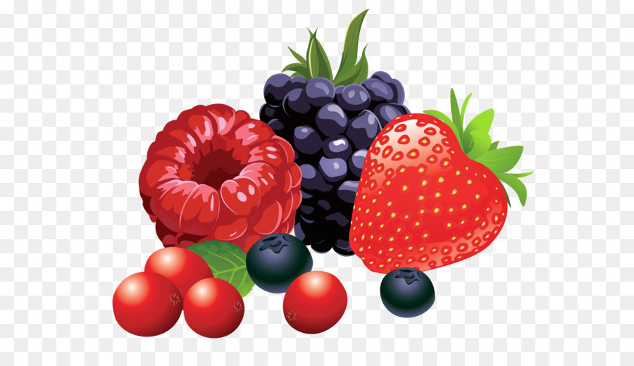Vegetable Cartoon png download - 3480*2681 - Free Transparent Berry png  Download. - CleanPNG / KissPNG