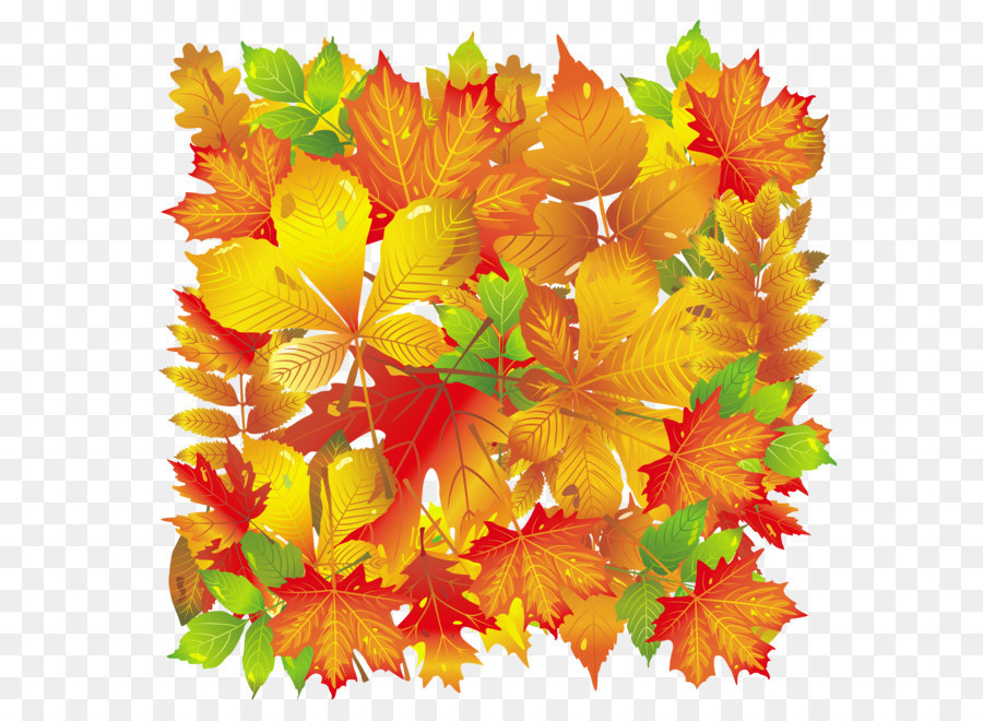 foglia d'autunno di colore - Trasparente Caduta Foglie