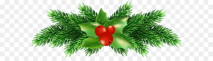 Holly Clip art - Natale Holly Pino PNG Clip Art Immagine