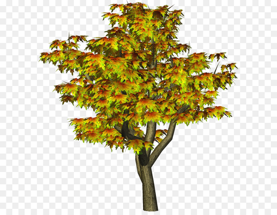 Baum Herbst Clip art - Autumn Tree PNG Baum Clipart