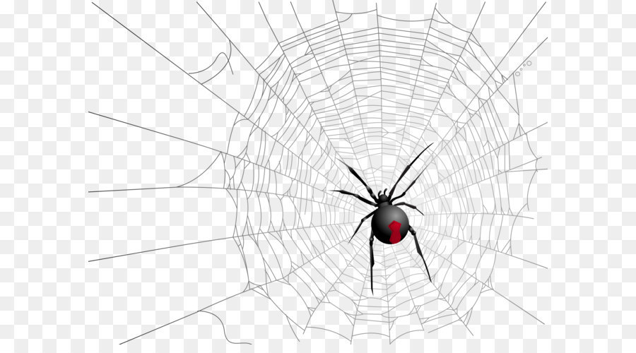 Ragni vedova Insetto Simmetria Modello - Halloween rete Trasparente e Spider Immagine