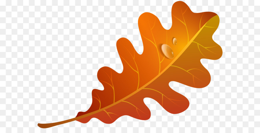 Herbst Blatt Farbe Orange clipart - Herbst Orange Leaf PNG Clipart Bild