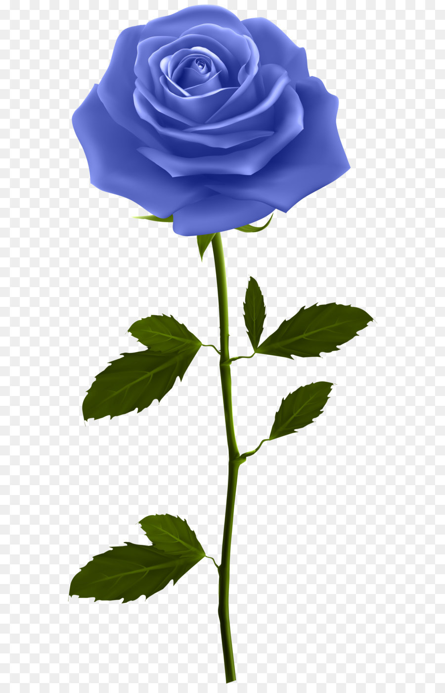 Hoa hồng Clip nghệ thuật - Màu xanh Rose với Thân PNG hình Ảnh png ...