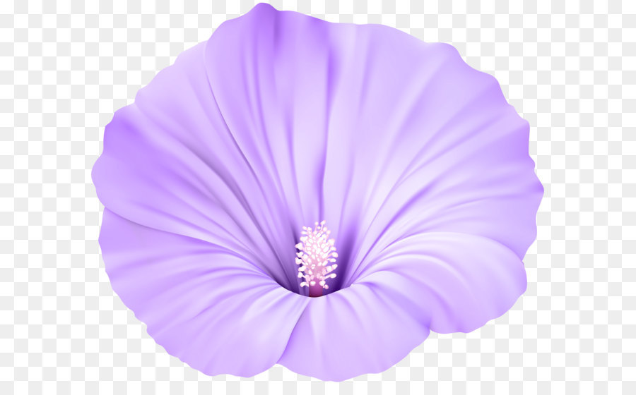 Violett Flower Clip art - Violett Blume Transparent PNG clipart