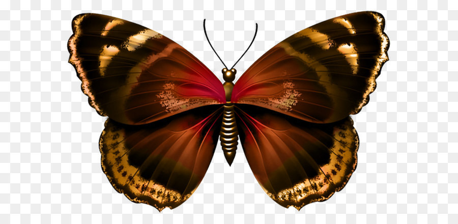 Farfalla Viola Clip art - Farfalla Immagine PNG Trasparente