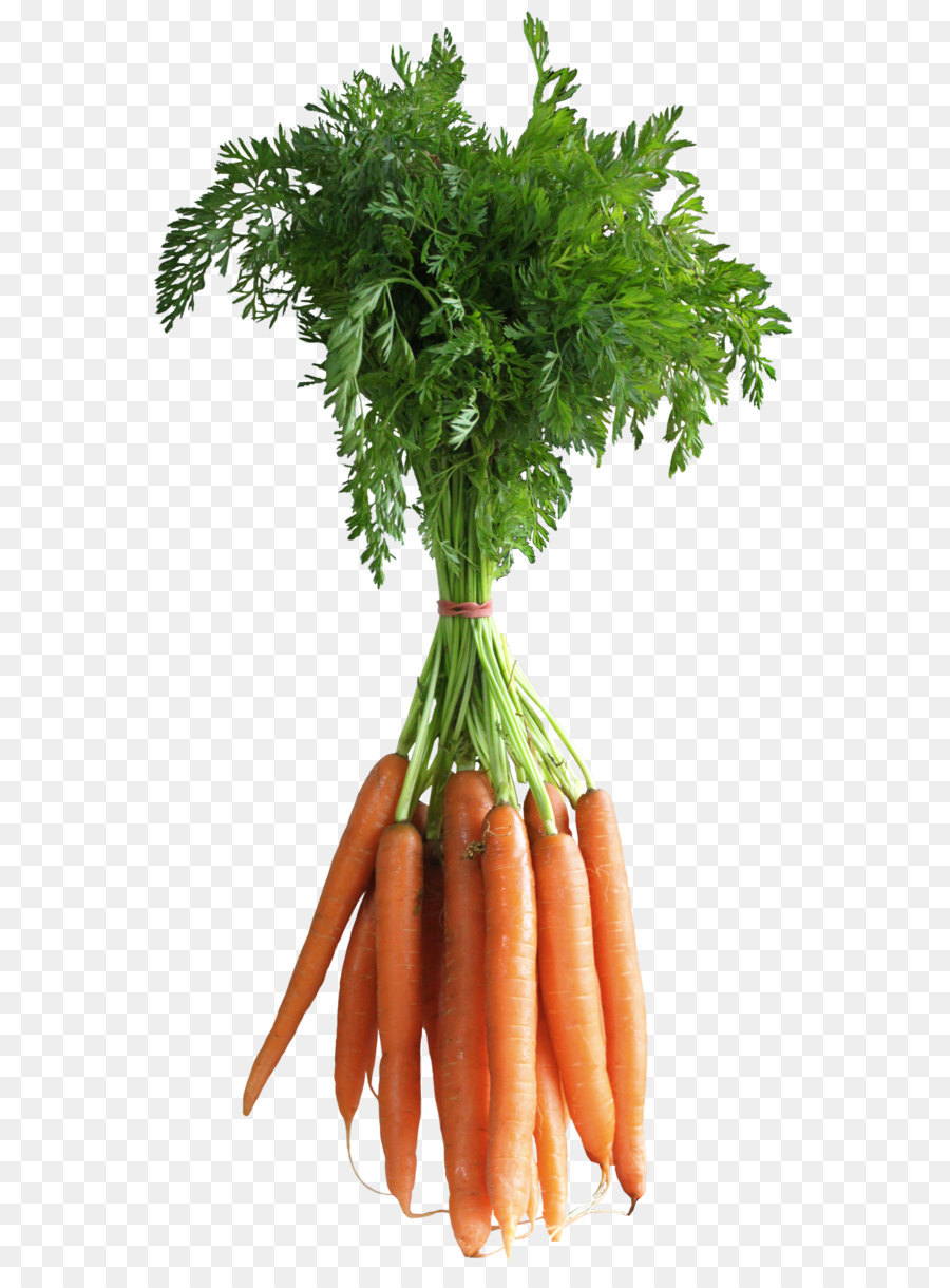 Karotte Gemüse Computer Datei - Karotten PNG-Clipart-Bild