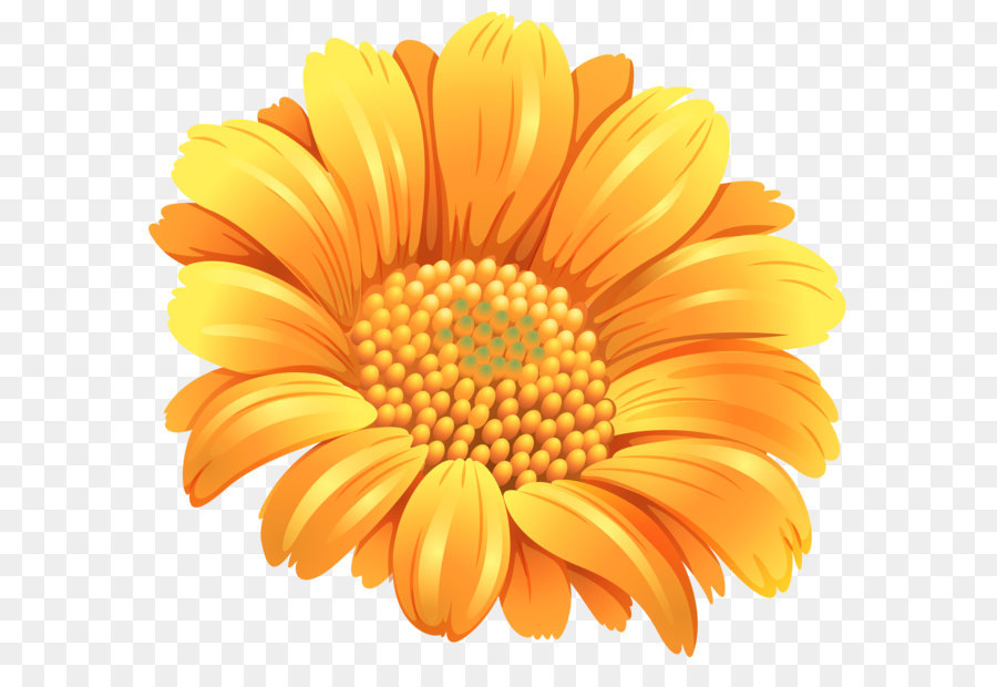 Blume, Orange Clip art - Die Orange Blume, die PNG Clipart Bild