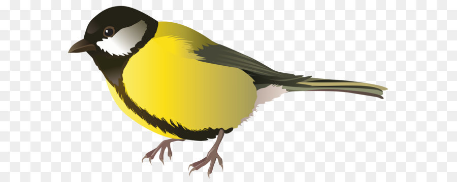 Vogel Papagei Cliparts - Yellow Bird PNG Clipart Bild