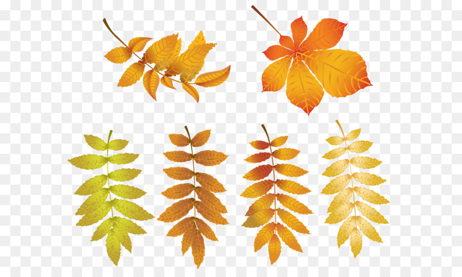 Herbst Clip art - Herbst Blätter PNG Transparent, Clip-Art-Bild