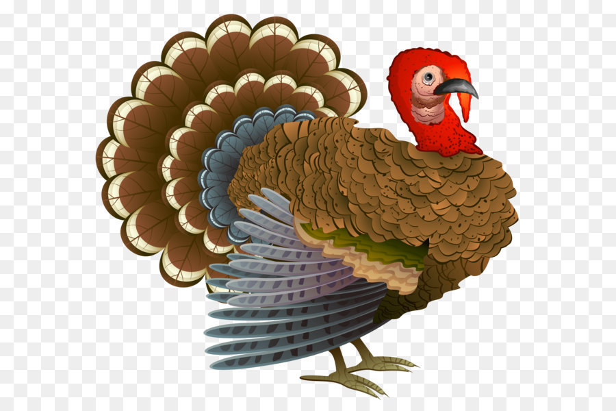 Die Türkei Thanksgiving dinner Füllhorn Clip art - Die Türkei PNG Clipart