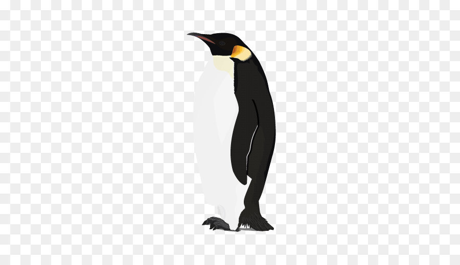 Pinguin clipart - Pinguin Png Bild