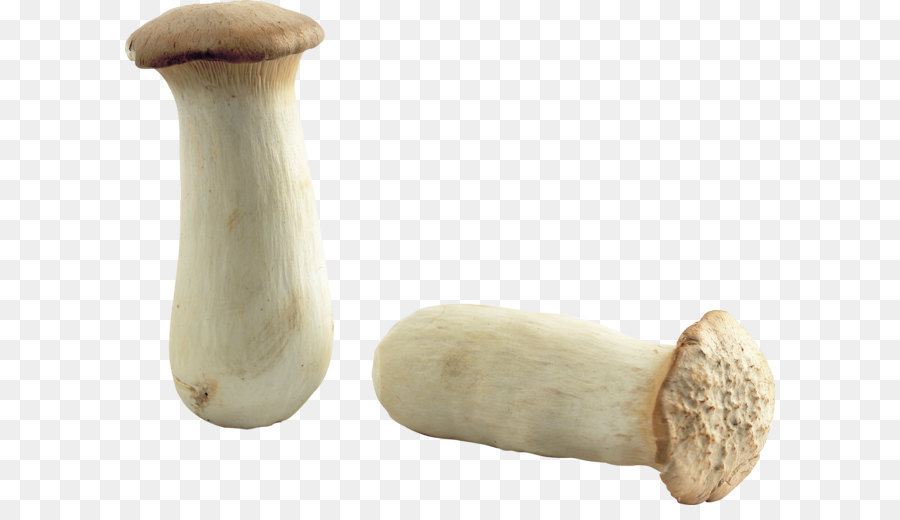 Sagra del fungo Ripieno Comune di funghi Pancetta - fungo immagine png