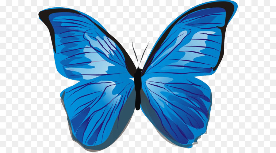 Schmetterlings Illustration - Blauer Schmetterling PNG Bild