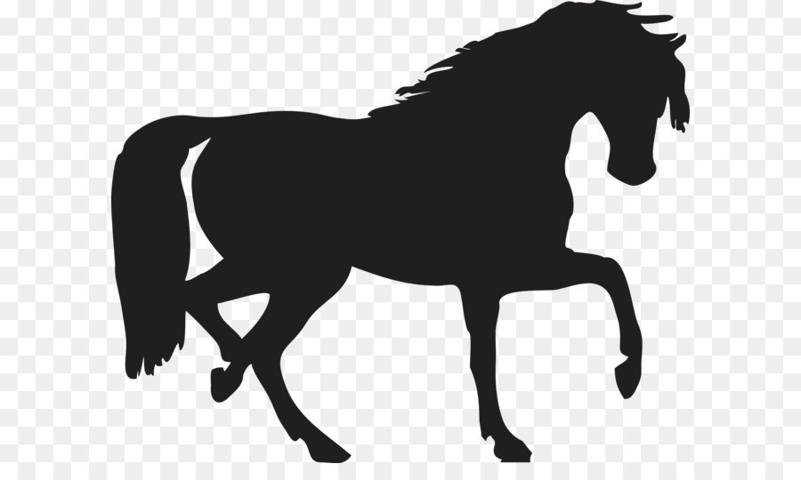 Pferd Pony Silhouette Schatten - Black horse siluete png Bild