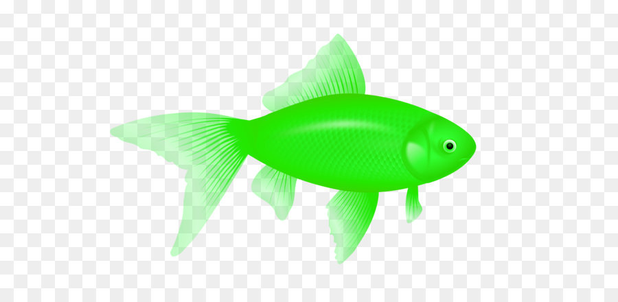 Fisch Symbol Computer Datei - green fish PNG Bild